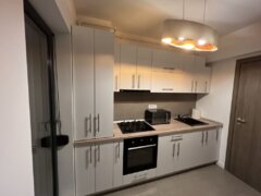 Militari, Iuliu Maniu, Lujerului